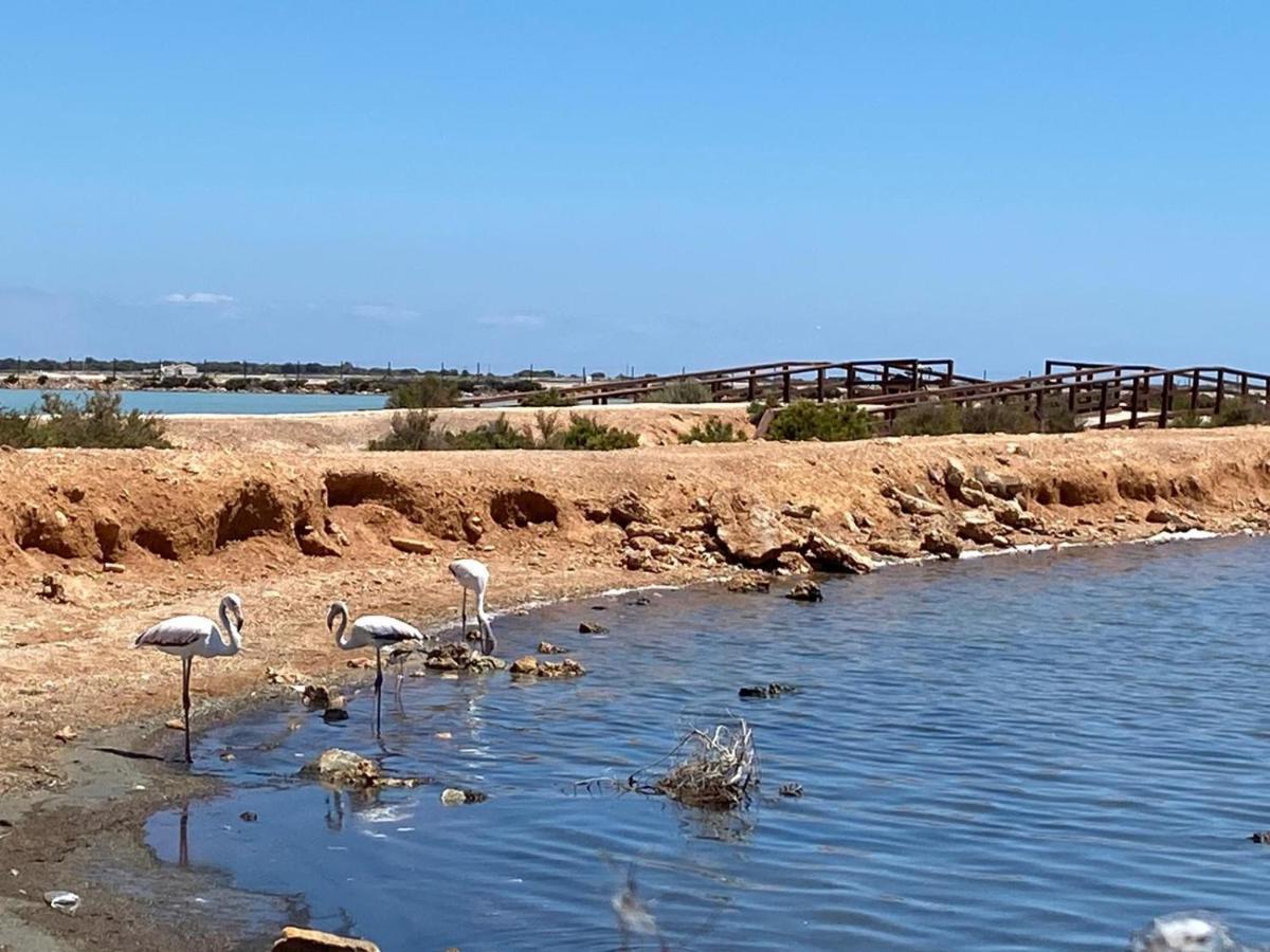 Villamar 19 - Planta Baja Con 2 Terrazas Cerca De Las Salinas San Pedro del Pinatar Exteriör bild